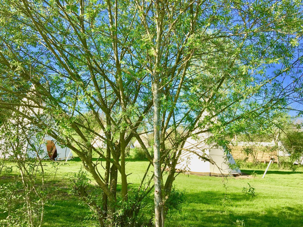 Les Tipis Du Bonheur De Vivre Hotel Brulon Ngoại thất bức ảnh